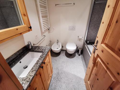 a small bathroom with a toilet and a sink at Ca del Forno St Moritz in Maloja