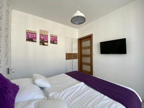 a bedroom with a bed and a flat screen tv at Apartman Rubin in Sárvár