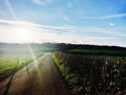 a dirt road in the middle of a field at Ferme de la Petite Fagne in Spa