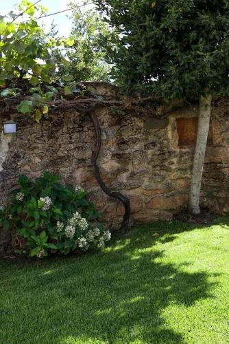 Κήπος έξω από το Casas do Torreão 3 casas de alojamento local