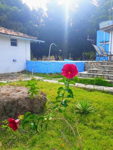 Sitio Santo Antonio – Photos 2