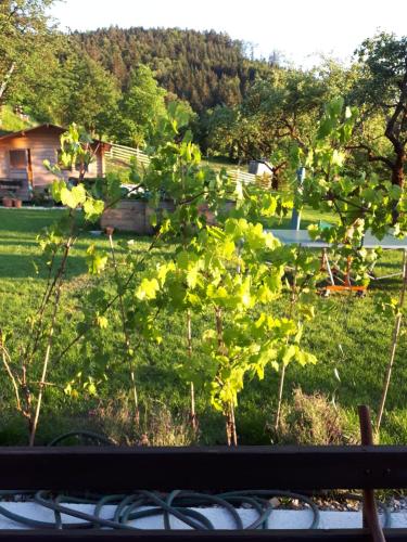 a view of a garden with a tree at Landhaus Ziegelstadel in Windischgarsten