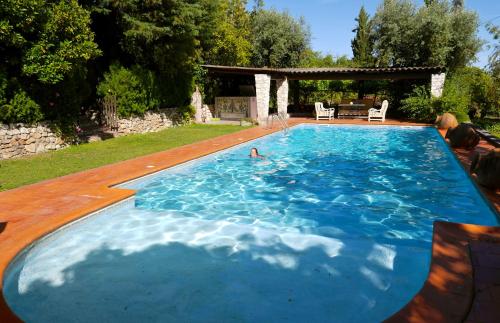 a large blue swimming pool in a yard at Casa Dos Arrabidos in Torres Novas