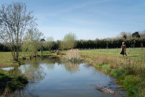 a woman walking by a pond in a park at Hoeve de Mertel in Biezenmortel