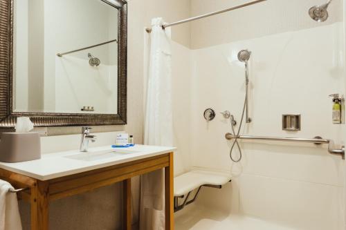 a bathroom with a sink and a shower and a tub at Holiday Inn Express Davis-University Area by IHG in Davis