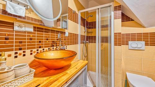 カルパチにあるApartament z Sauną pod Świerkami - 5D Apartamentyのバスルーム(洗面台、シャワー付)