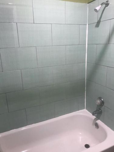 a bathroom with a pink bath tub with a shower at RED CROWN INN in Dallas