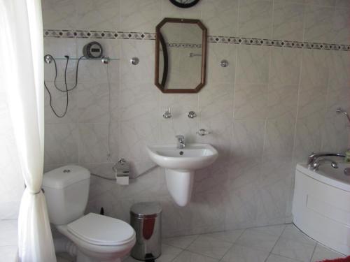 uma casa de banho com um WC, um lavatório e um espelho. em Penzion Muraty em Ostrava