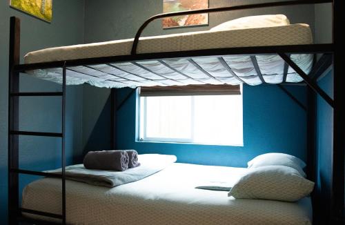 a bedroom with two bunk beds and a window at California Dreams Hostel - Pacific Beach in San Diego