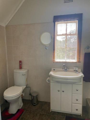 a bathroom with a toilet and a sink and a window at Ndzuti Guest House in Witbank