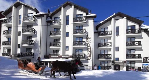 Gallery image of Hotel Adrenalin in Dragobrat