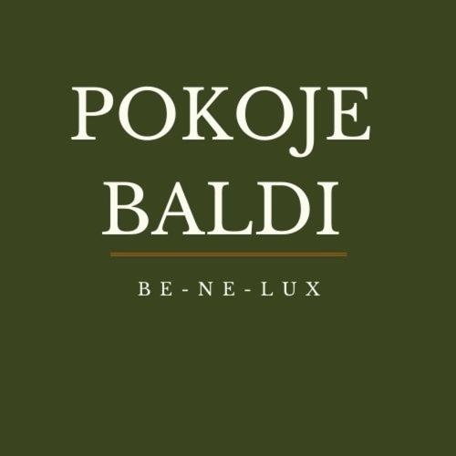 a sign that reads rogue ballid with a green background at Pokoje BALDI Benelux in Skoczów