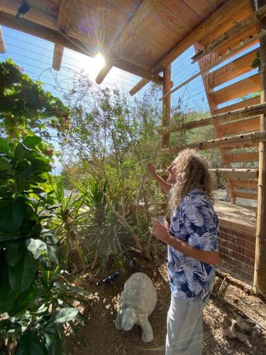 a woman is standing in a bird cage at Las Palmas in Eilat