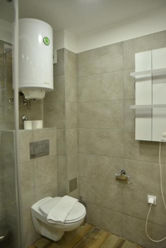 a small bathroom with a toilet and a sink at Milmari Apartment 43 Premier Pollo in Kopaonik