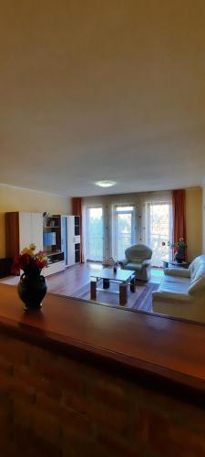 TV a/nebo společenská místnost v ubytování Bástya Apartmanház