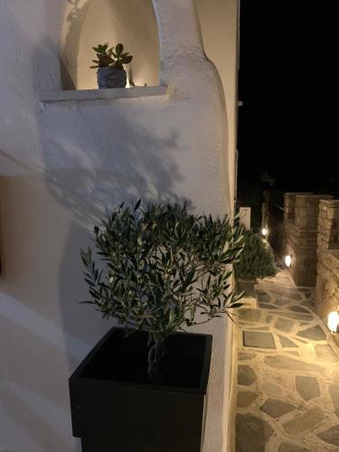 a plant in a black pot on a wall at Sea & Sun Paros in Naousa