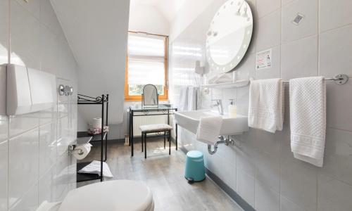 a bathroom with a sink and a toilet and a mirror at Blütenhotel Village in Sarnau