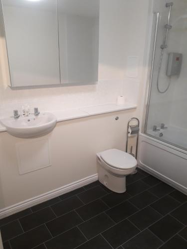 a bathroom with a toilet and a sink and a shower at Pond view in Airdrie