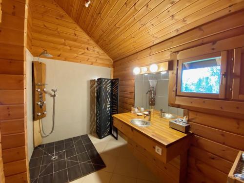 y baño con lavabo y ducha. en Norman XXL Cottage 3 stars 15' drive to the beach and perfect to seminaries, en Sauqueville