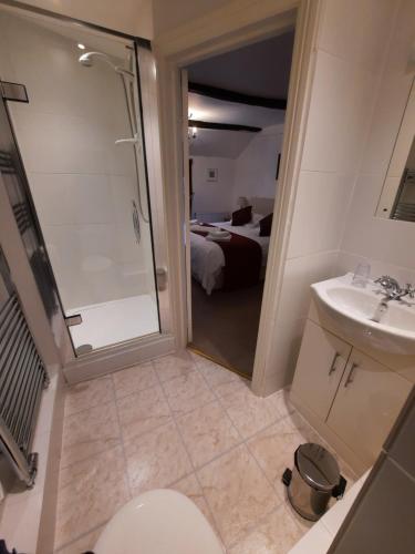 Un baño con ducha, inodoro y lavabo. en The White Cottage, en Colyton
