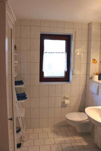 baño con aseo y lavabo y ventana en Ferienwohnung-Illgen, en Dresden