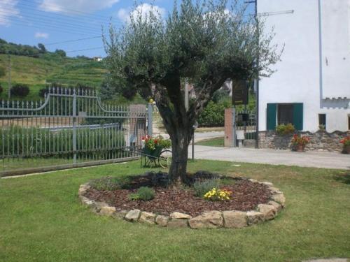 a tree in the middle of a garden with flowers at Il Feudo in Vo Euganeo