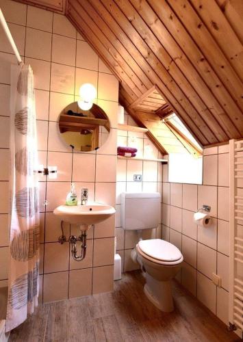 a bathroom with a toilet and a sink at Ferienhof-Heidemann-auch-2-Erwachsene-2-Kinder-moeglich in Neustadt am Rübenberge