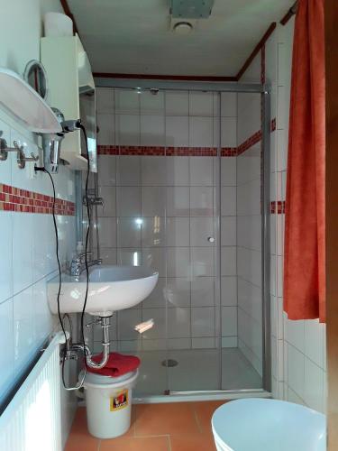 a bathroom with a shower and a sink and a toilet at Ferienwohnung-Lalka in Altenkirchen
