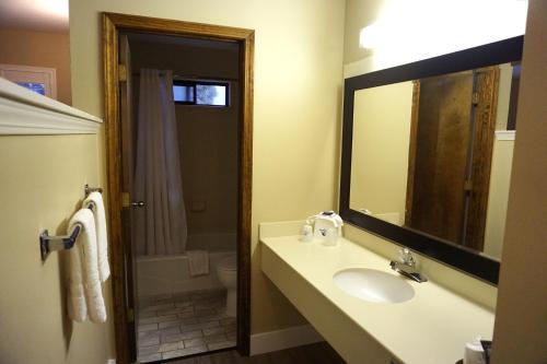 a bathroom with a sink and a toilet and a mirror at Travelodge by Wyndham Concord in Concord