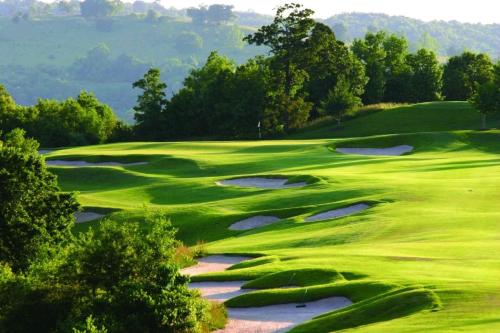 Ozark Mountain Resort 3BDR Condo – Photos 5