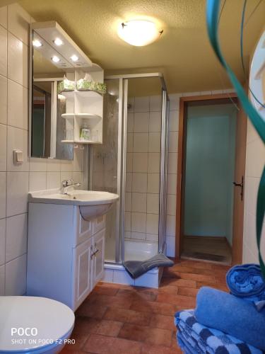 a bathroom with a shower and a sink and a toilet at Ratsstübchen in Wernigerode