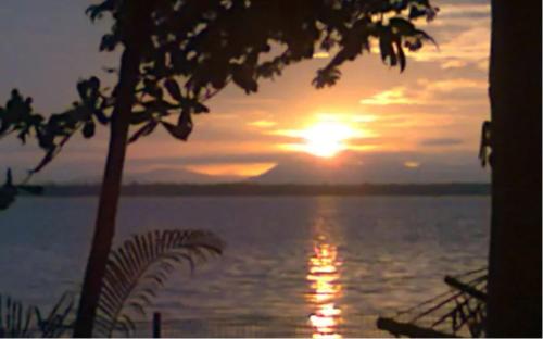 a sunset over a body of water with a tree at Lovedale Lakeside Homestay in Alleppey