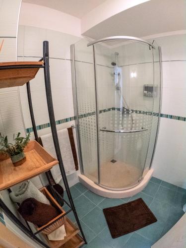 a shower with a glass enclosure in a bathroom at Apartment Branka in Hvar
