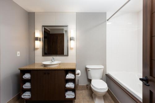 蒙特朗布朗的住宿－湖韻歷史酒店，浴室配有卫生间、盥洗盆和浴缸。