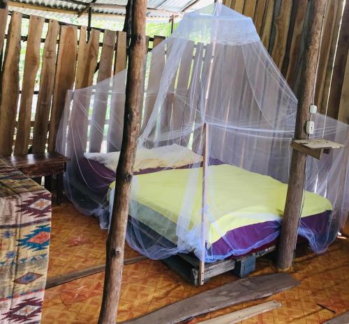 a bed with a net on top of it at Miguel Surf Camp in Quepos