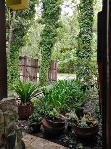 La casa de Caro – Photos 4