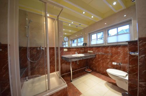 een badkamer met een douche, een toilet en een wastafel bij Reet-Eckhaus-17f-Moosbeere in Gager