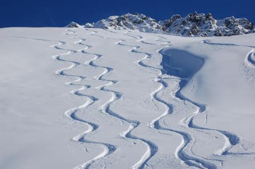 a trail in the snow with a mountain in the background at Hotel Alpina Parpan in Parpan