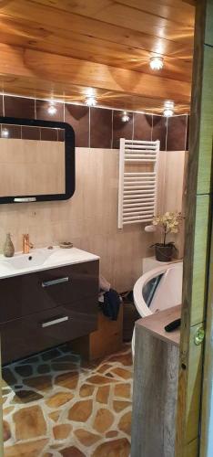 een badkamer met een wastafel, een bad en een spiegel bij Le Havre de paix in Saint-Dalmas-le-Selvage