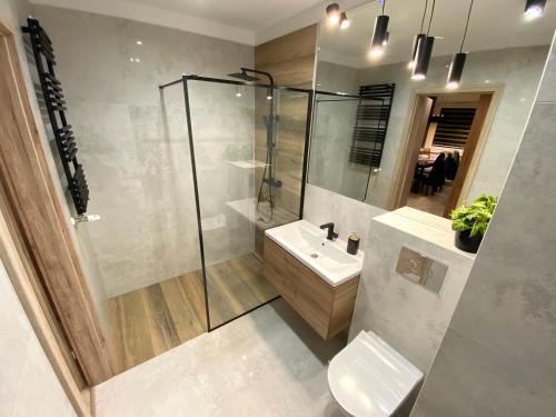 bagno con doccia, lavandino e servizi igienici di Apartament z Ogródkiem Szczytno Mazury a Szczytno