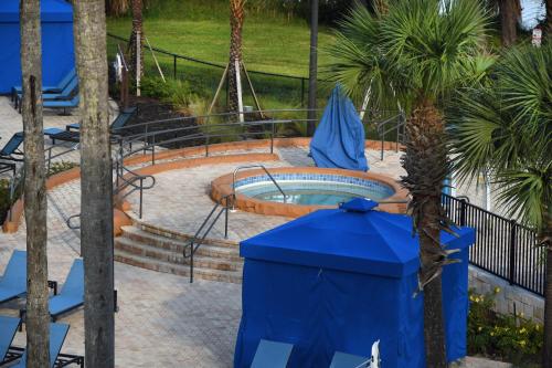 Piscine de l'établissement Wyndham Garden Lake Buena Vista – Disney Springs® Area ou située à proximité