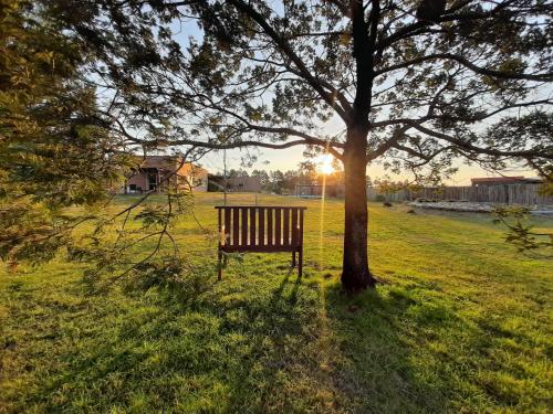 a park bench sitting under a tree in a field at Hotel Juana de Ibarbourou in Melo