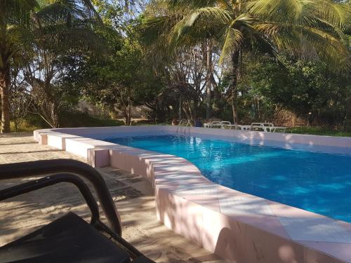 a swimming pool with blue water and palm trees at Villa Amarant - Private Garden with Pool Retreat in Sanyang