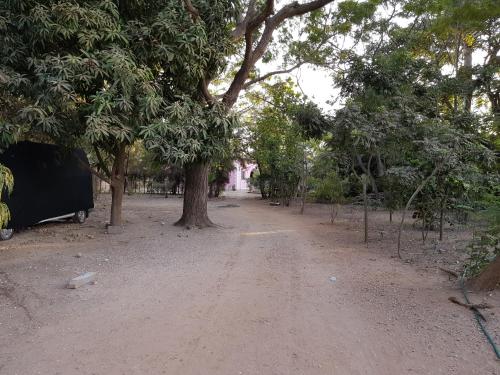 a dirt road with a tree in the middle at Villa Amarant - Private Garden with Pool Retreat in Sanyang