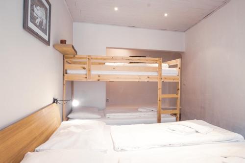 ツェル・アム・ゼーにあるApartment Peacock - Steinbock Lodgesの二段ベッド2組とはしごが備わる客室です。