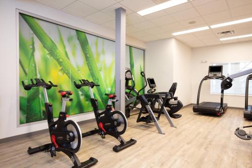 Gimnasio o equipo deportivo en EVEN Hotels Denver Tech Center-Englewood by IHG