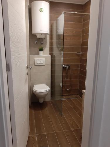 a bathroom with a toilet and a glass shower at Dream Milmari L12 Apartman in Kopaonik