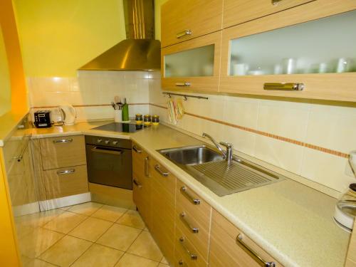 Kuchyň nebo kuchyňský kout v ubytování Apartment Palmic Lovran