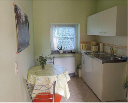eine kleine Küche mit einem Tisch und einem Waschbecken in der Unterkunft Pension Kleint, Wohnung 1  in Radebeul