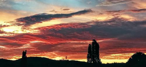 a sunset with trees and clouds in the sky at Redhill Cooma Motor Inn in Cooma